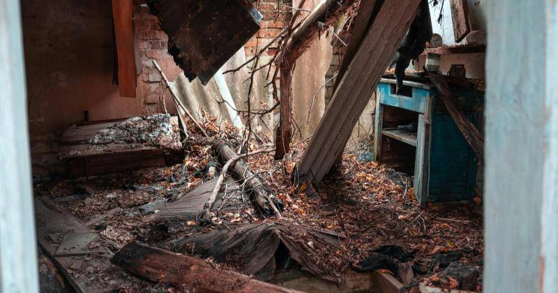 Unsplash/Viktor Hesse